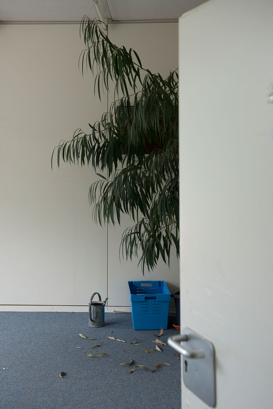 Arichtektur: Evanglische Hochschule